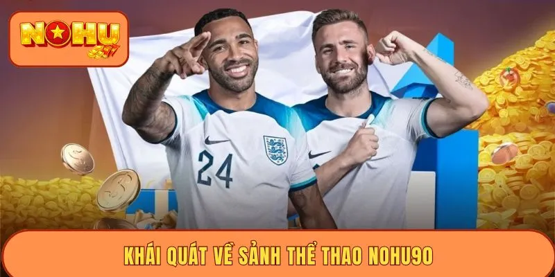Khái quát về sảnh thể thao NOHU90